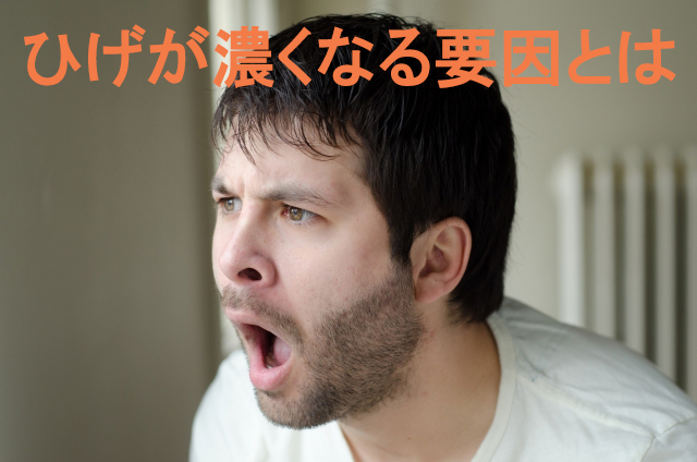 ひげが濃くなる要因