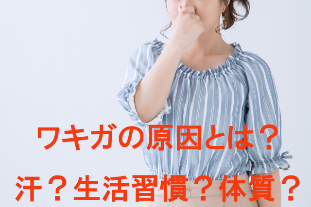 ワキガの原因