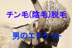 無造作に生えているチン毛(陰毛)脱毛をして清潔感を出しませんか？