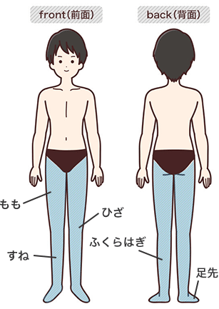 施術範囲(もも、すね、ひざ、ふくらはぎ、足先)